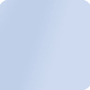 Silver Wall Profile 20mm with Seal